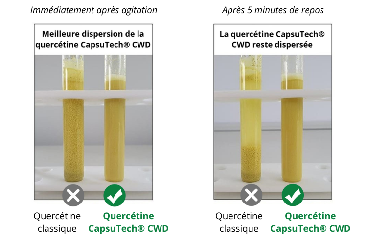 Comparaison entre la quercétine classique et la quercetine CapsuTech® CWD